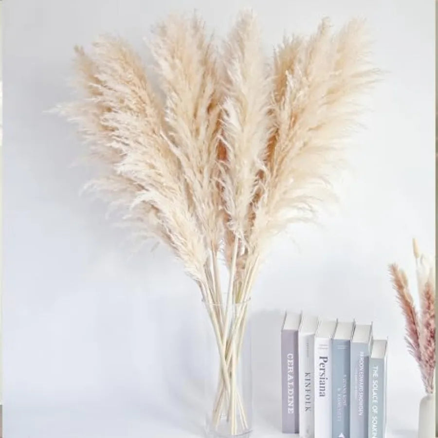 Natural Pampas Grass Decor Tall For Wedding And Home Boho