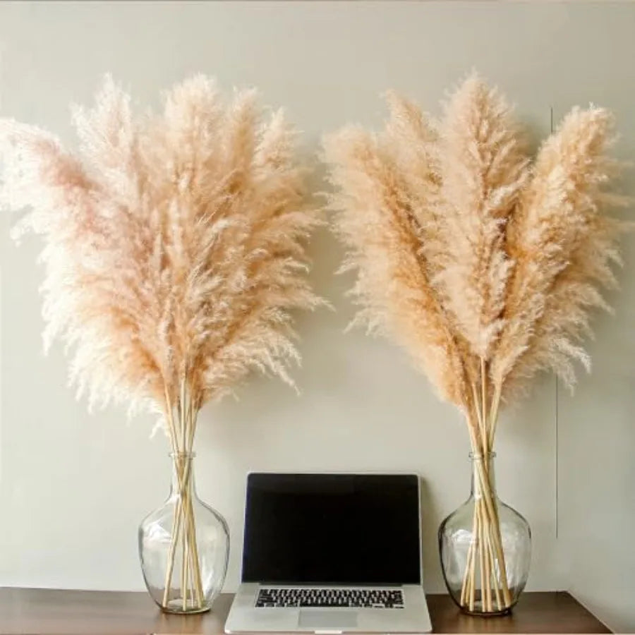Natural Pampas Grass Decor Tall For Wedding And Home Boho
