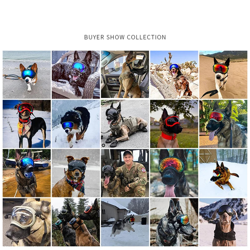 Petravel Dog Goggles Anti UV Sunglasses Windproof Eyewear for Travel