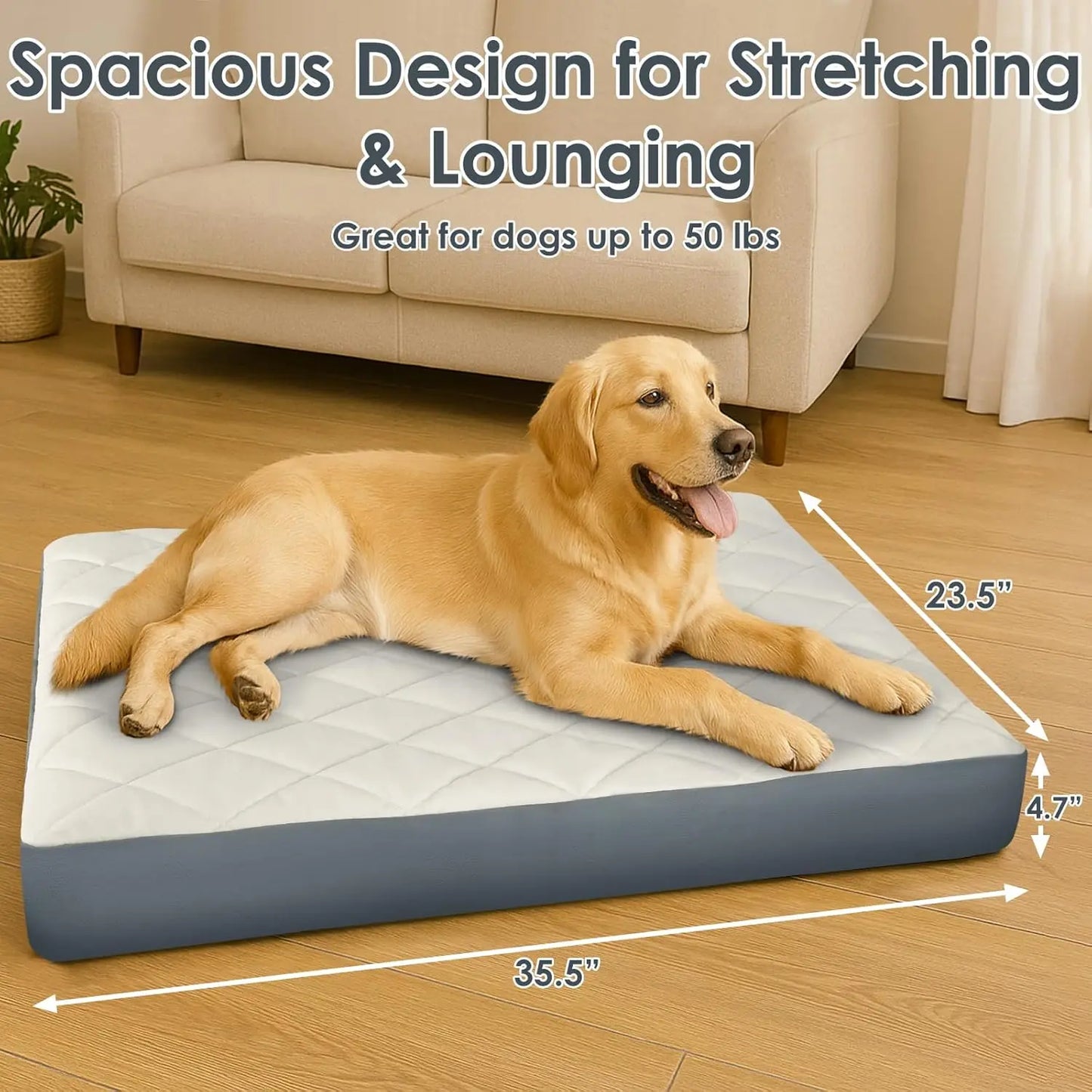Waterproof Memory Foam Orthopedic Dog Bed Non Slip Base