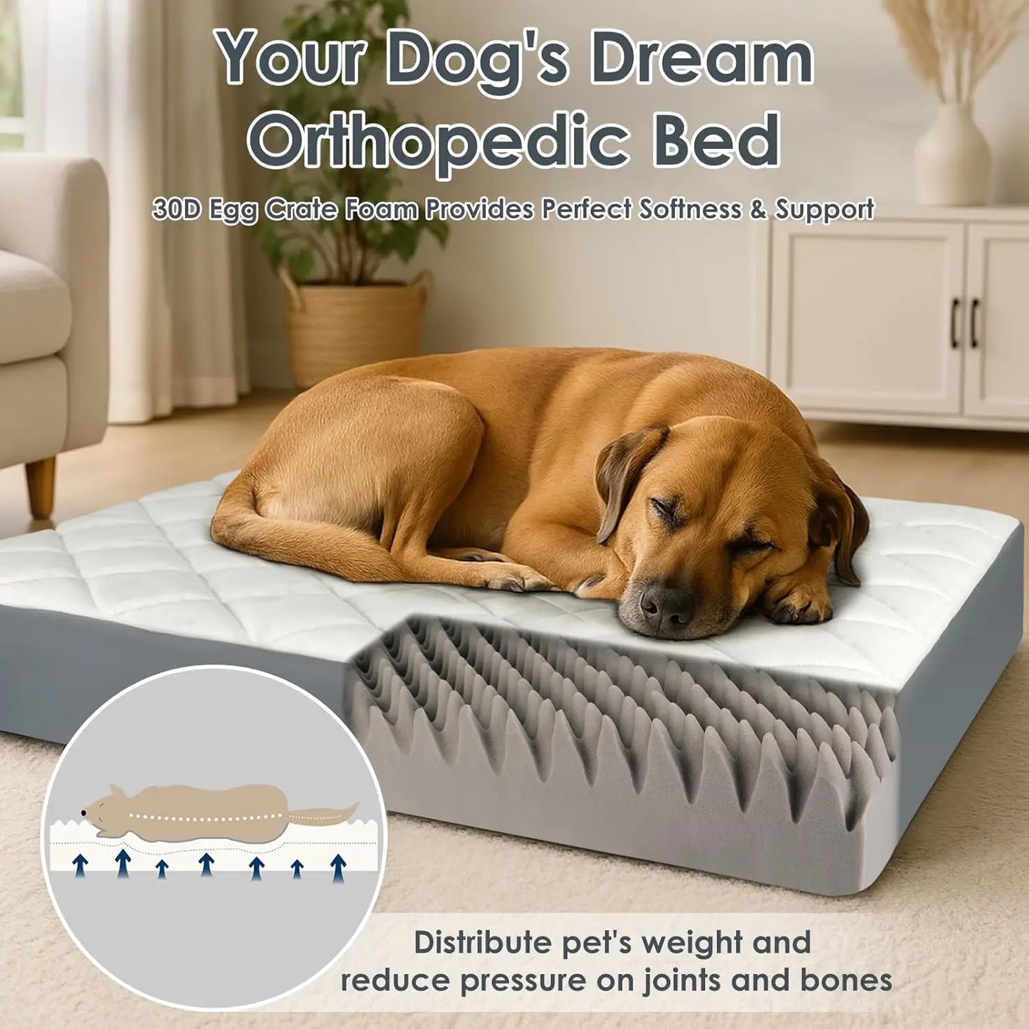 Waterproof Memory Foam Orthopedic Dog Bed Non Slip Base