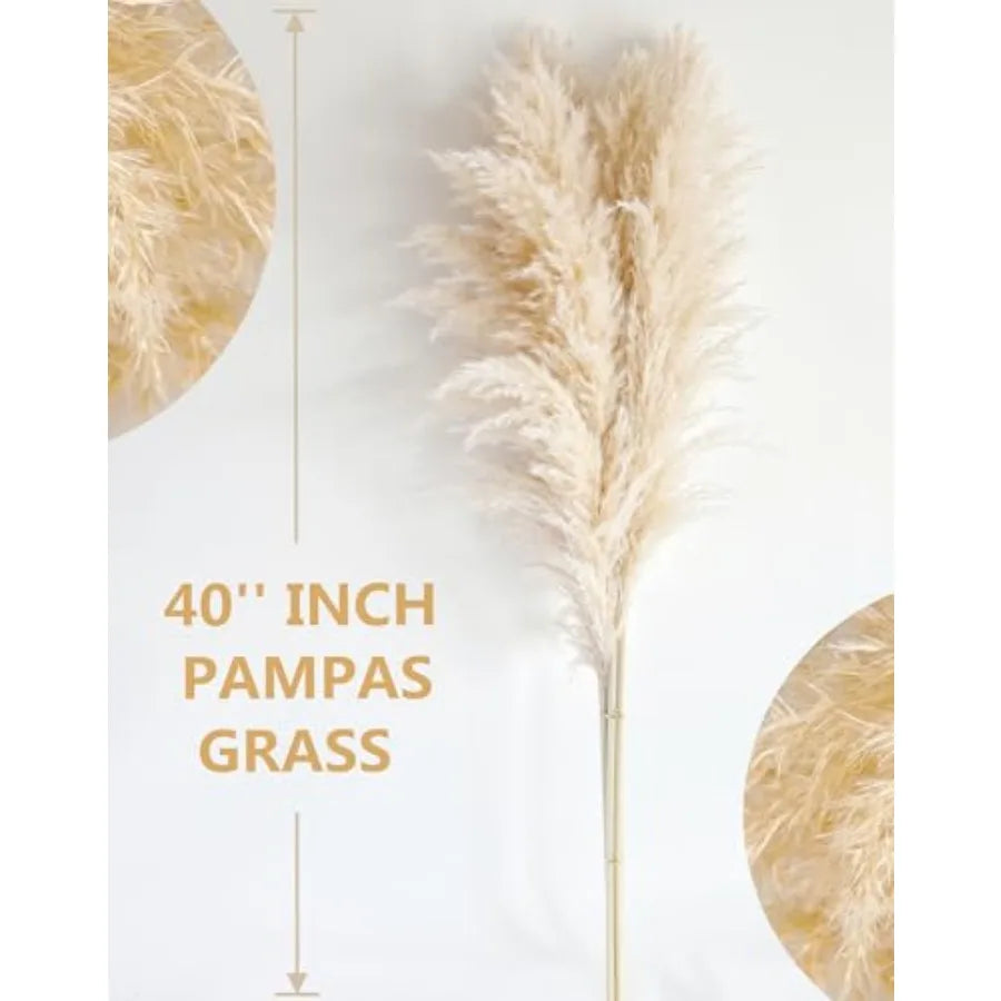 Natural Pampas Grass Decor Tall For Wedding And Home Boho