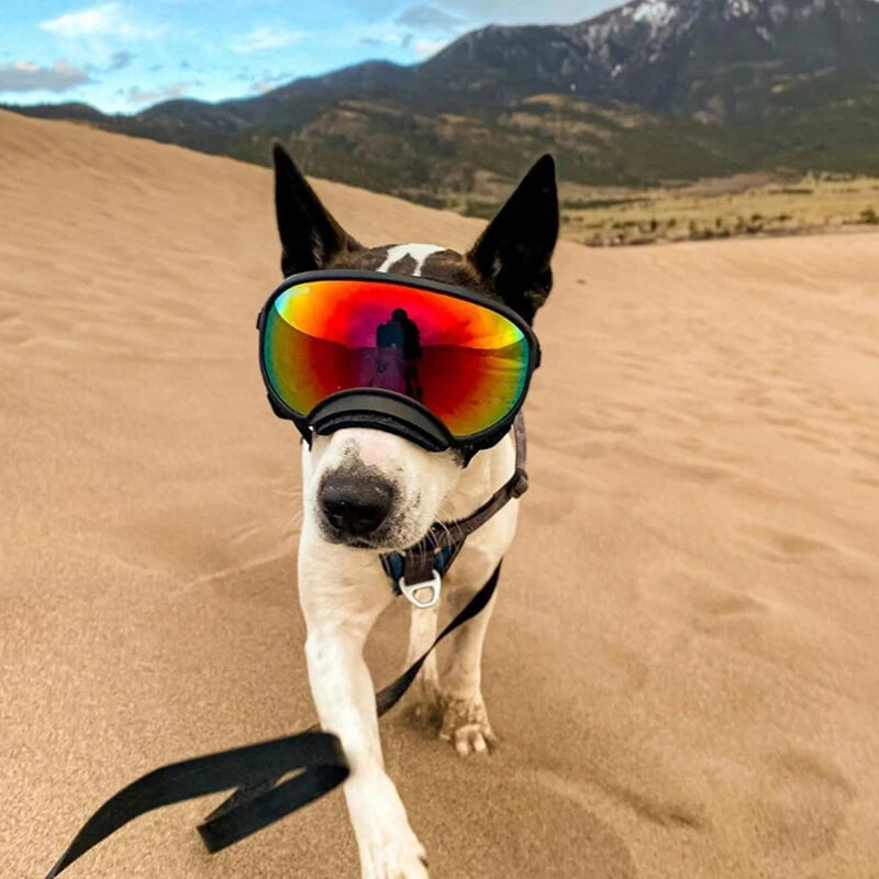 Petravel Dog Goggles Anti UV Sunglasses Windproof Eyewear for Travel