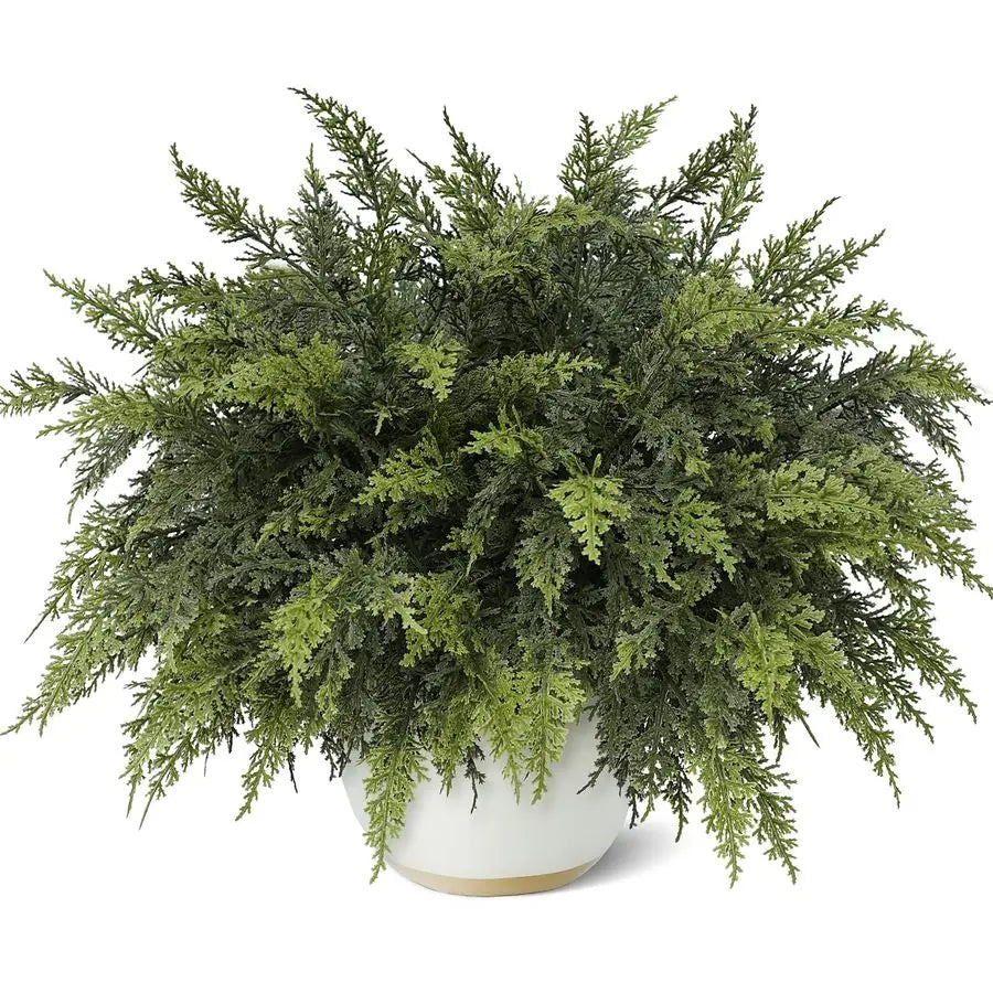 Real Touch Cedar Branches 24 Pcs Artificial Christmas Greenery For Vase
