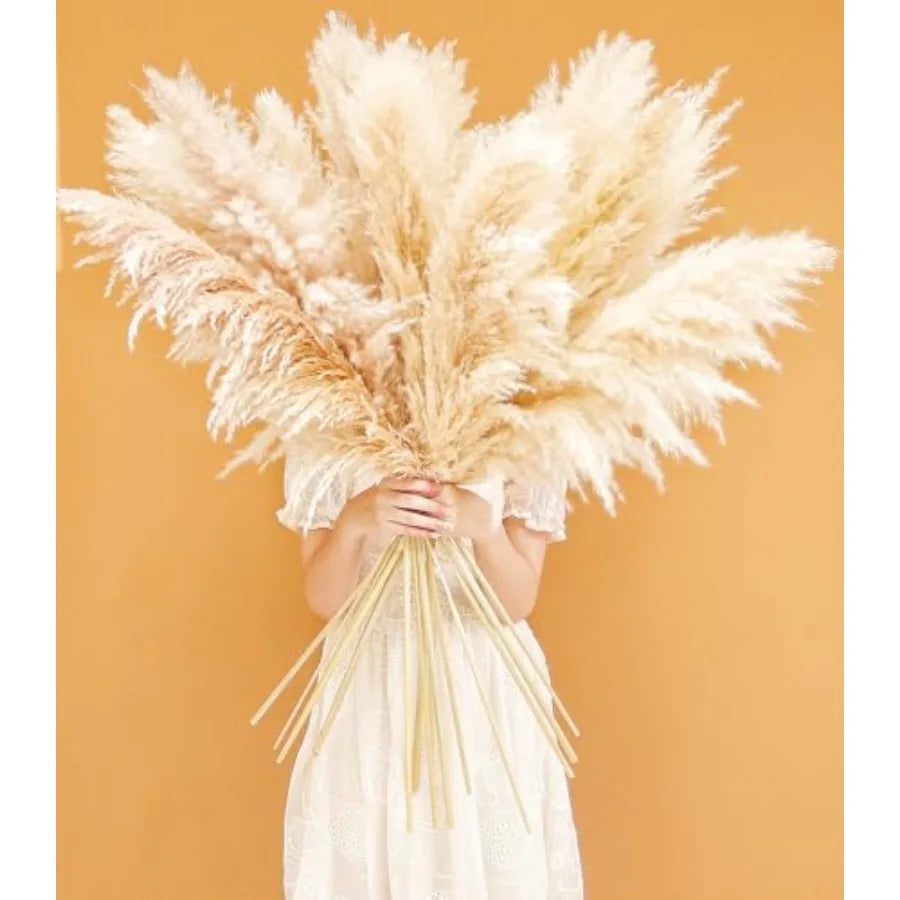 Natural Pampas Grass Decor Tall For Wedding And Home Boho