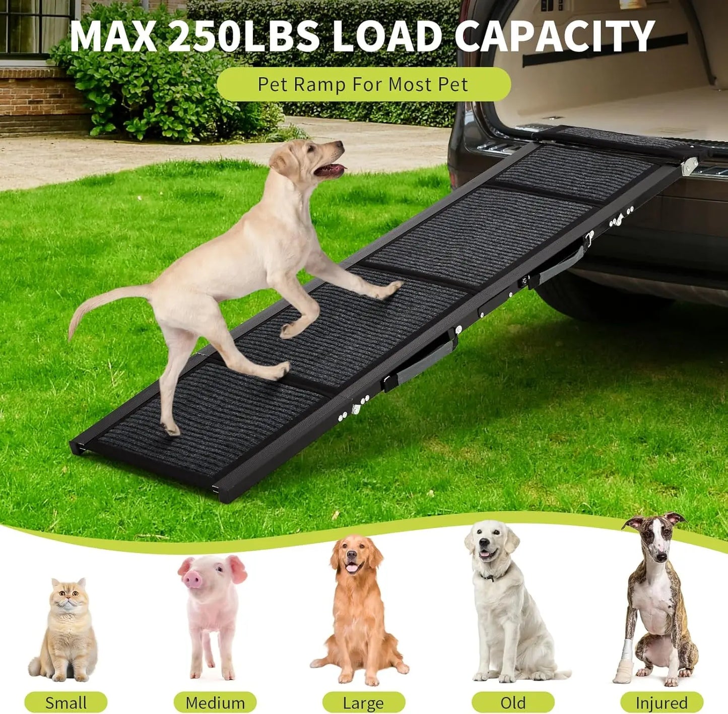 TWISTER.CK Dog Ramp Non Slip Quad Fold For Large Dogs