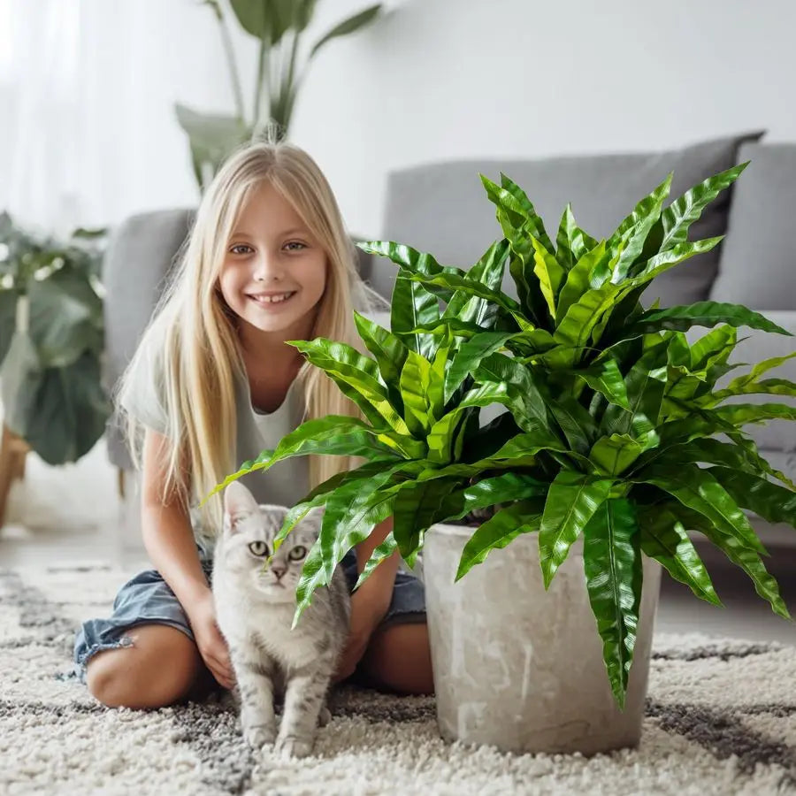 Artificial Bird Nest Fern Branches Decoration For Indoor Home Decor