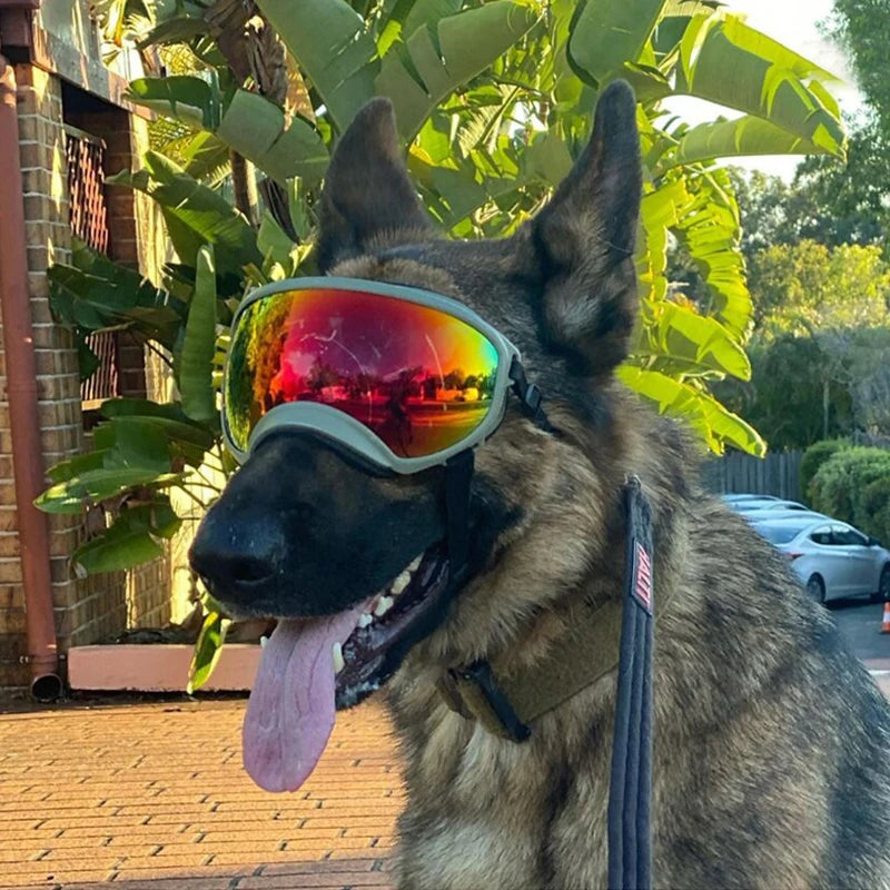Petravel Dog Goggles Anti UV Sunglasses Windproof Eyewear for Travel