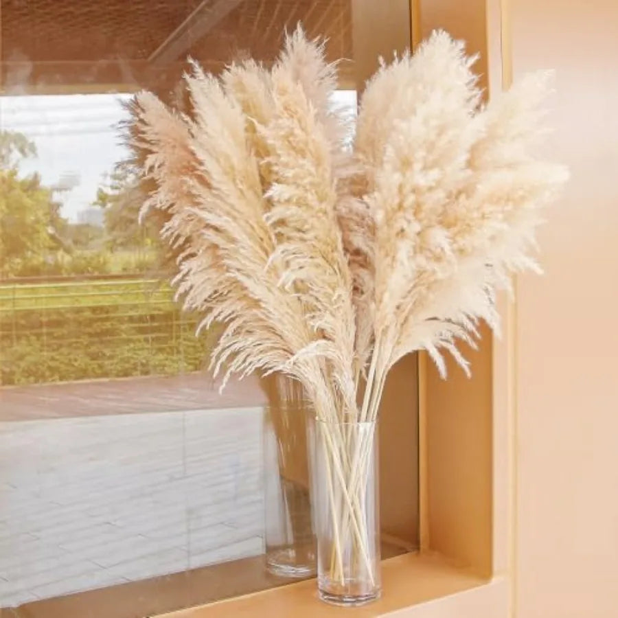 Natural Pampas Grass Decor Tall For Wedding And Home Boho