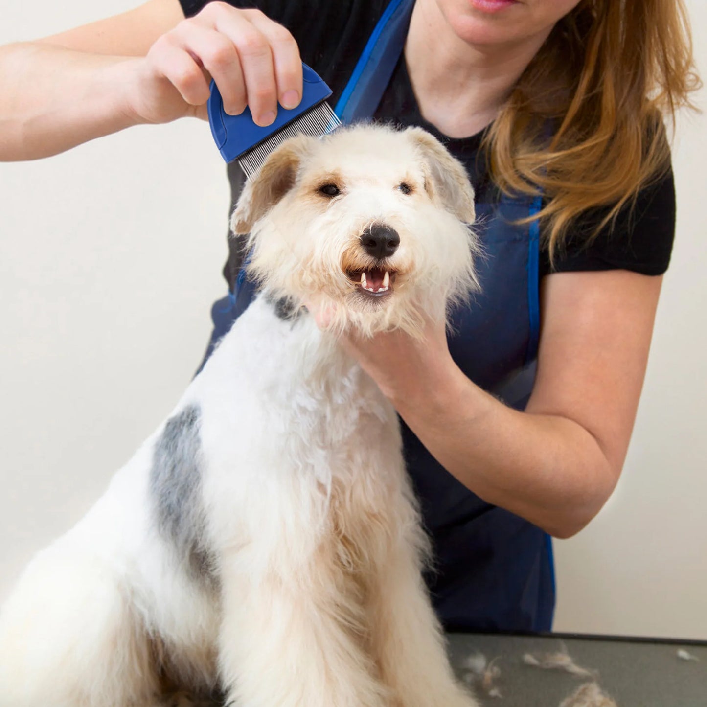 Gentle Flea Comb for Cats and Dogs Pet Hair Removal