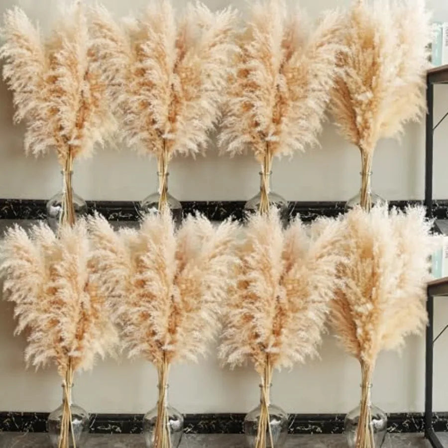 Natural Pampas Grass Decor Tall For Wedding And Home Boho