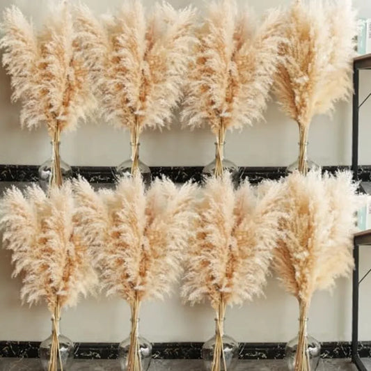 Natural Pampas Grass Decor Tall For Wedding And Home Boho