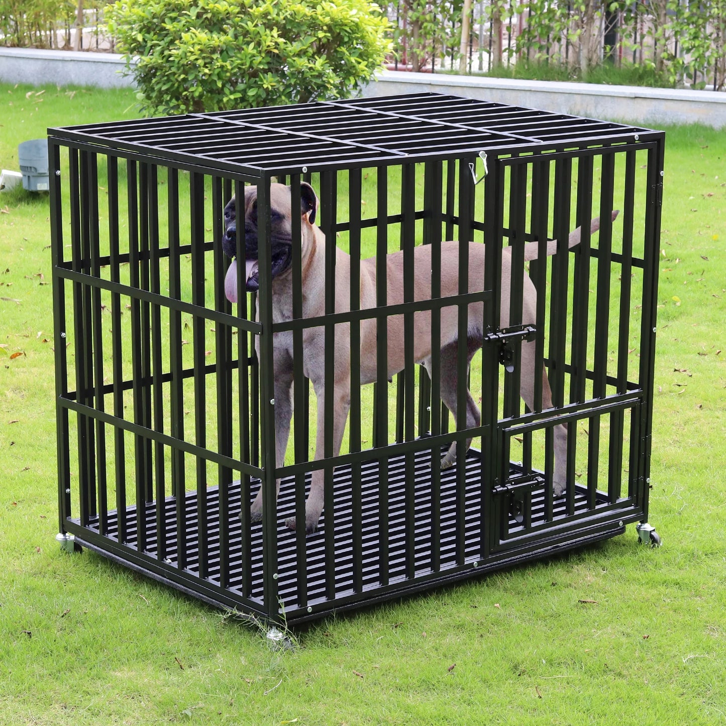 BINGOPAW Heavy Duty Metal Dog Cage With Three Doors Locks Playpen Removable Tray