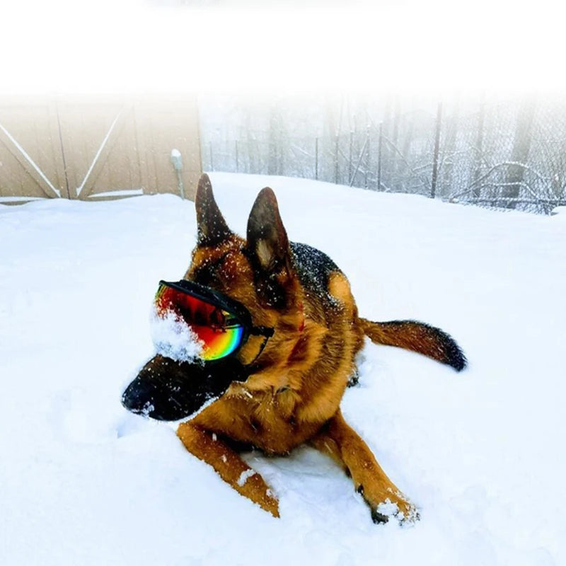 Petravel Dog Goggles Anti UV Sunglasses Windproof Eyewear for Travel