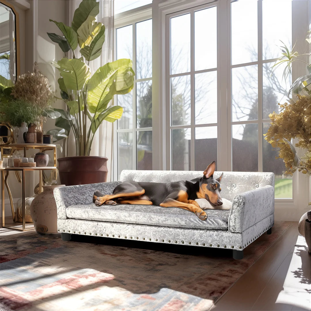 BINGOPAW Deluxe Dutch Velvet Dog Couch Bed With Removable Cushion