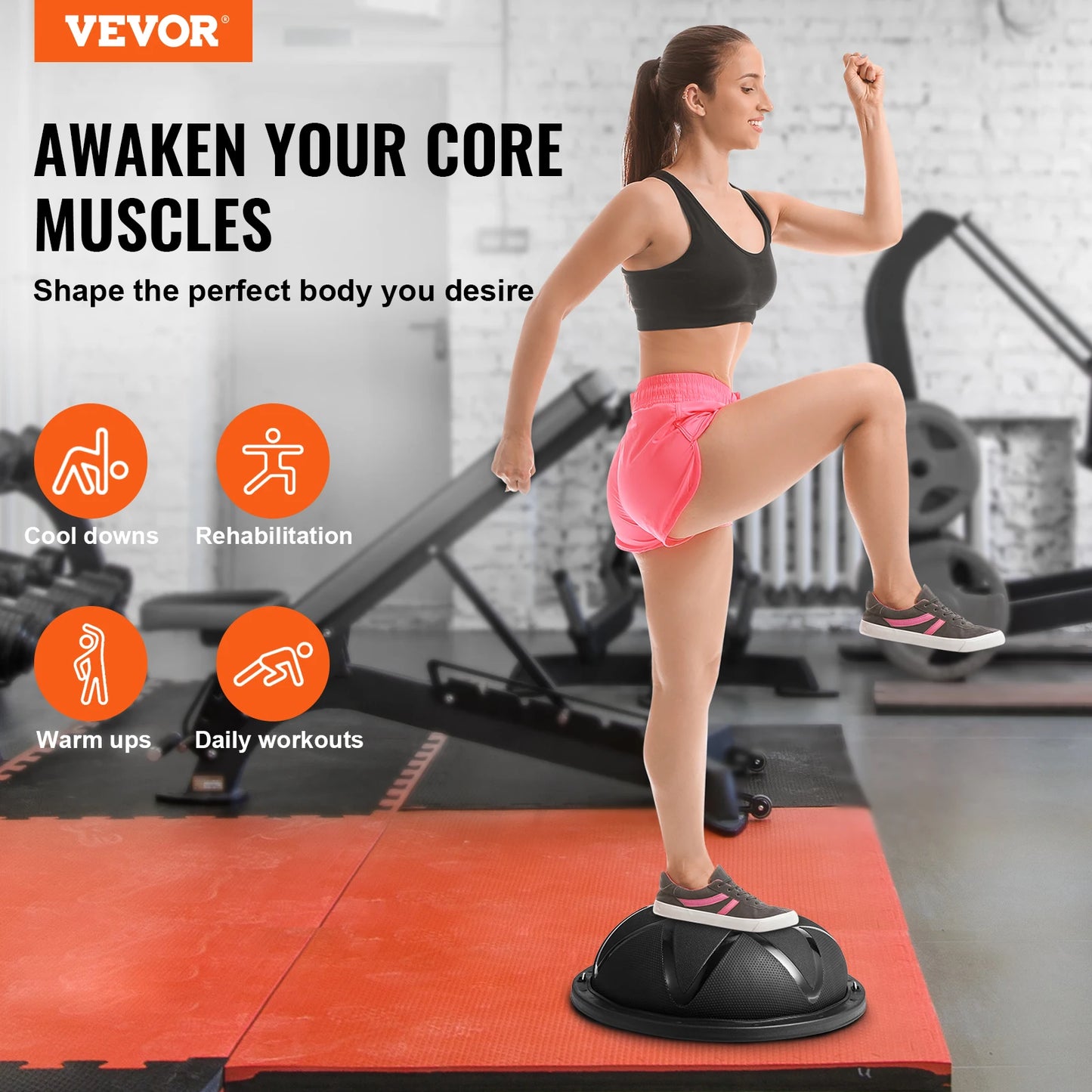 SucceBuy Exercise Ball Trainer 660 Lb Capacity Stability Yoga Ball