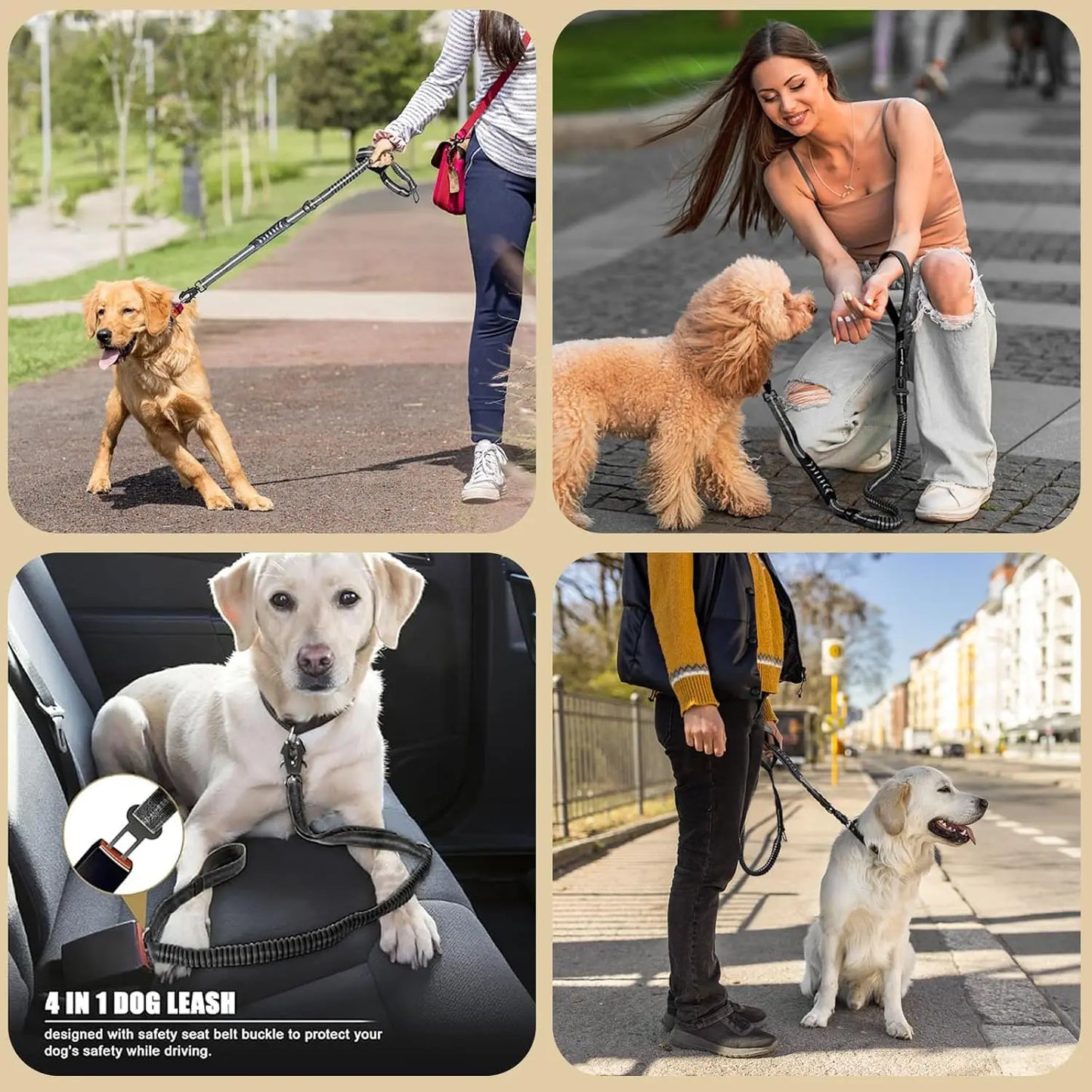Reflective Shock Absorbing Tactical Dog Leash With Seatbelt