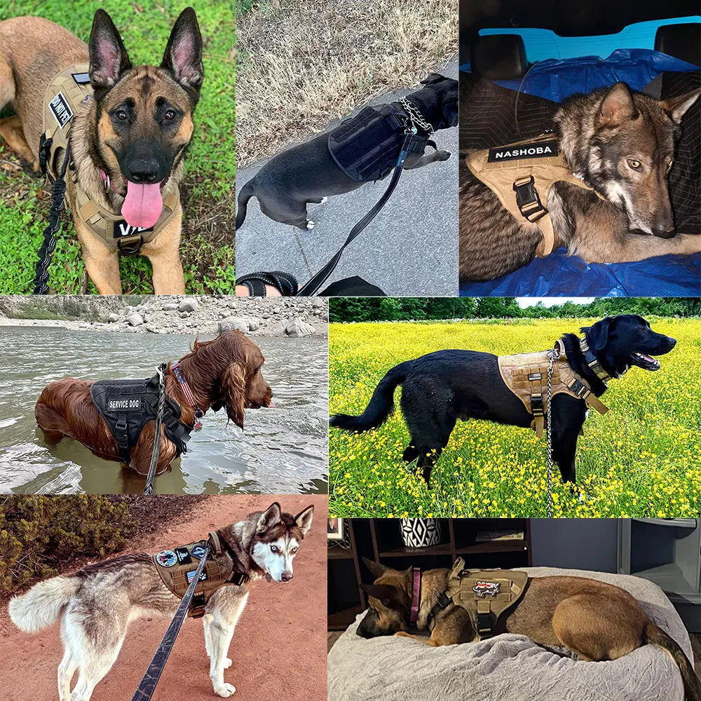 PETRAVEL Military Dog Harness Vest Set Nylon For Malinois Training